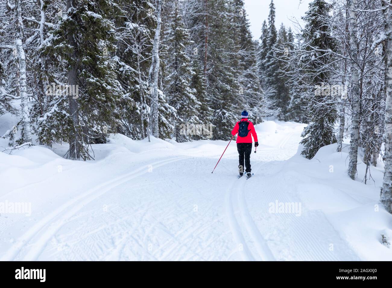cross country skiing in Yllas, Finland Stock Photo