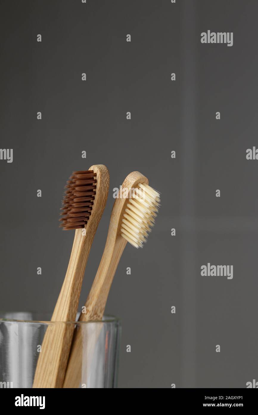 Two eco friendly bamboo brushes in a glass. Zero Waste concept Stock ...