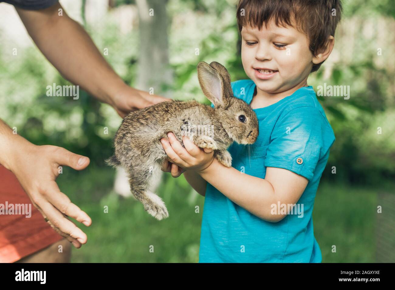 Little boy is taking a rabbit from his father hands. Sunny summer day ...
