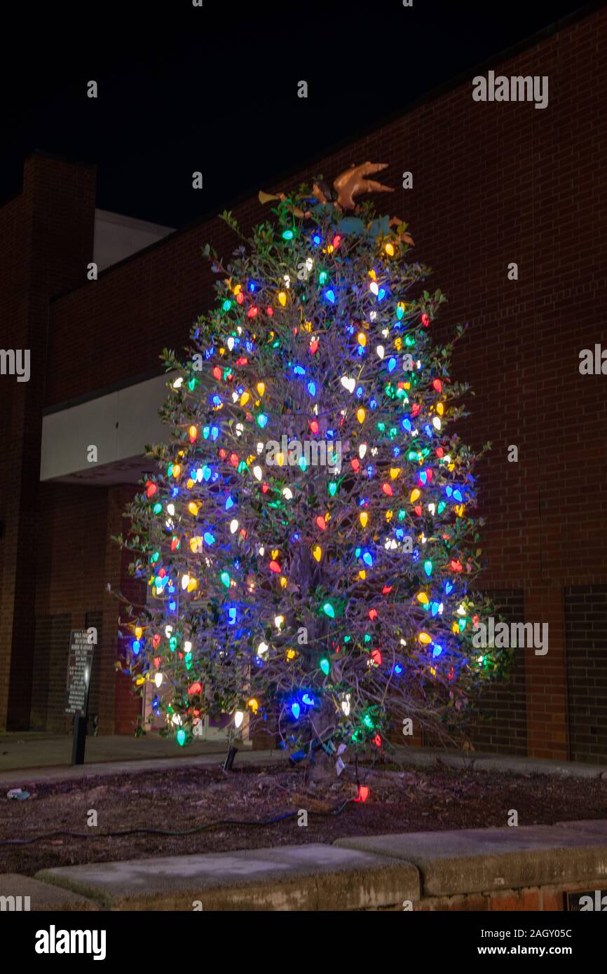 Decorated tree Stock Photo