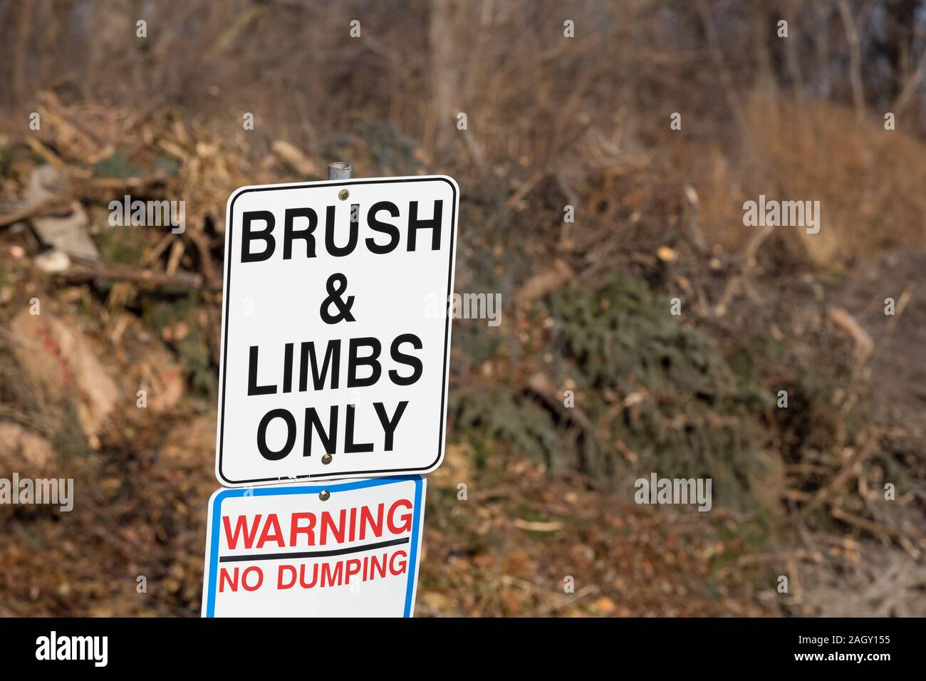 Brush and tree limbs only, no dumping sign at city yard waste disposal, dump site with pile of tree limbs, branches, and leaf bags in background Stock Photo