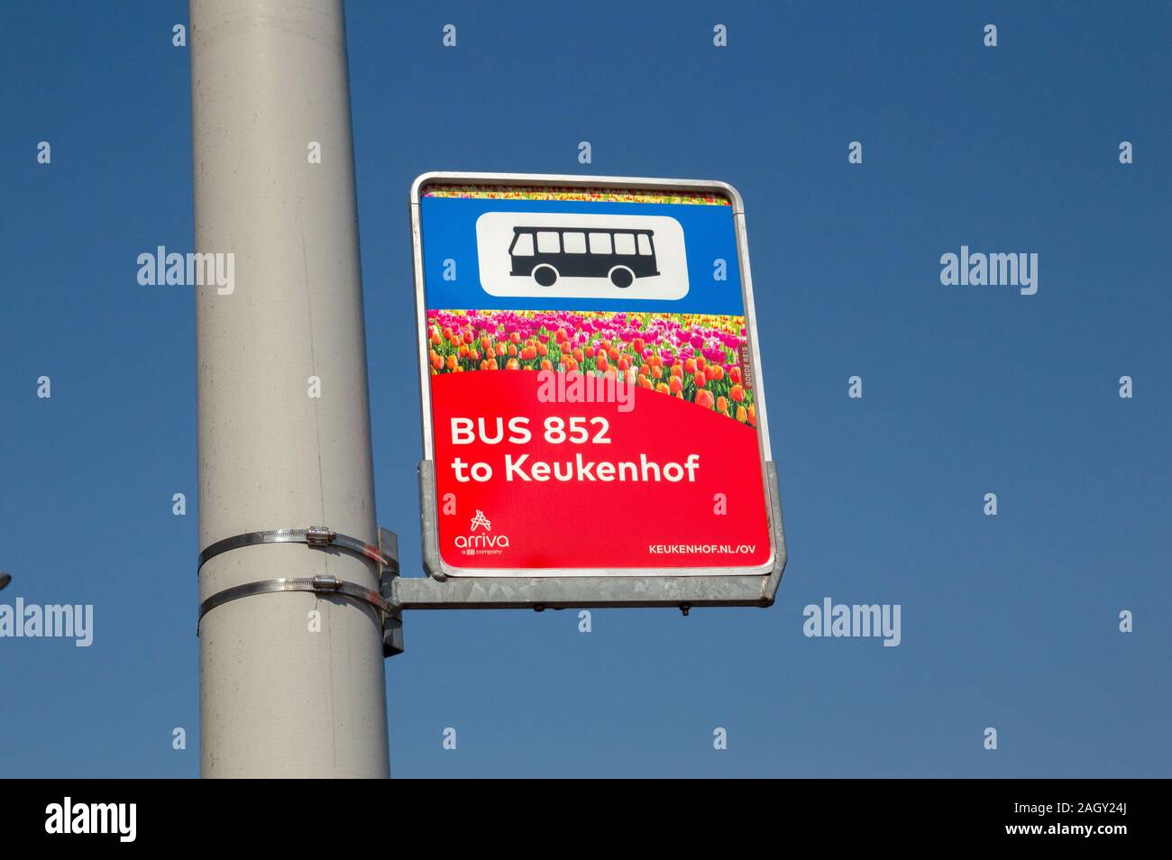 Bus Stop 852 To The Keukenhof Gardens At Amsterdam The Netherlands 2019 Stock Photo