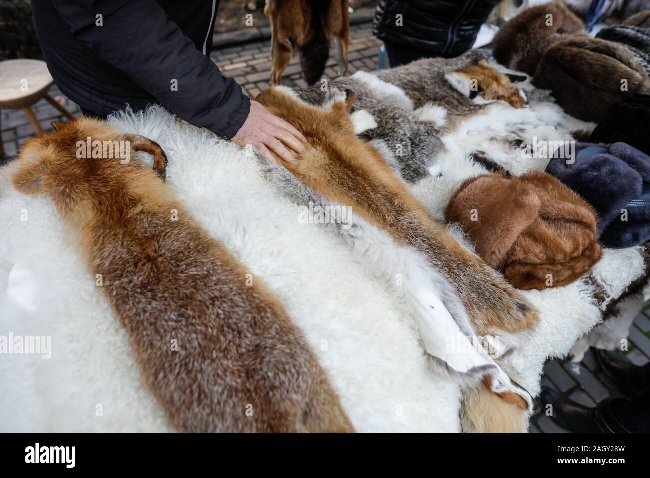 Skinned fox and other animals furs on exhibition at a peasants fair in Bucharest, Romania. Stock Photo