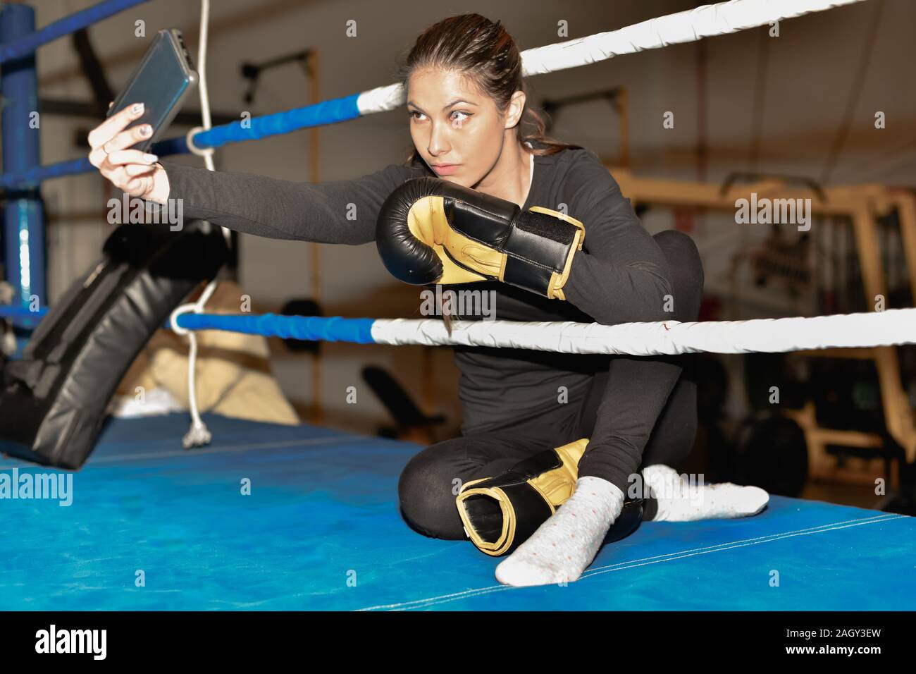 Confident boxer sitting boxing hi-res stock photography and images - Alamy