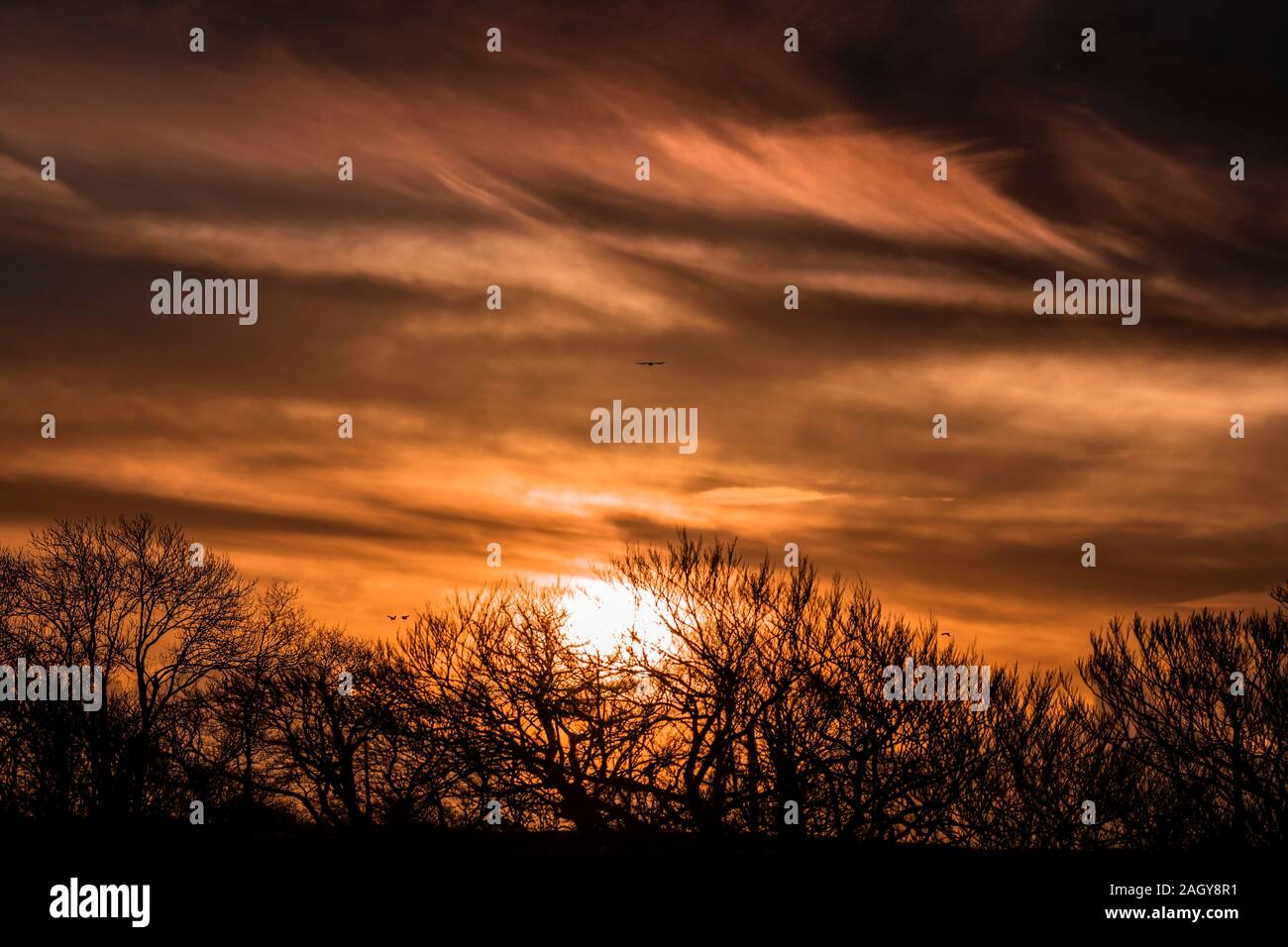 The sun rises gloriously at Winter solstice at extremal south point in co. Wexford, Ireland. 22 December. Stock Photo