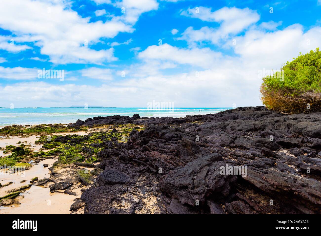 View of the rocky beach, Galapagos Island, Isla Isabela Stock Photo