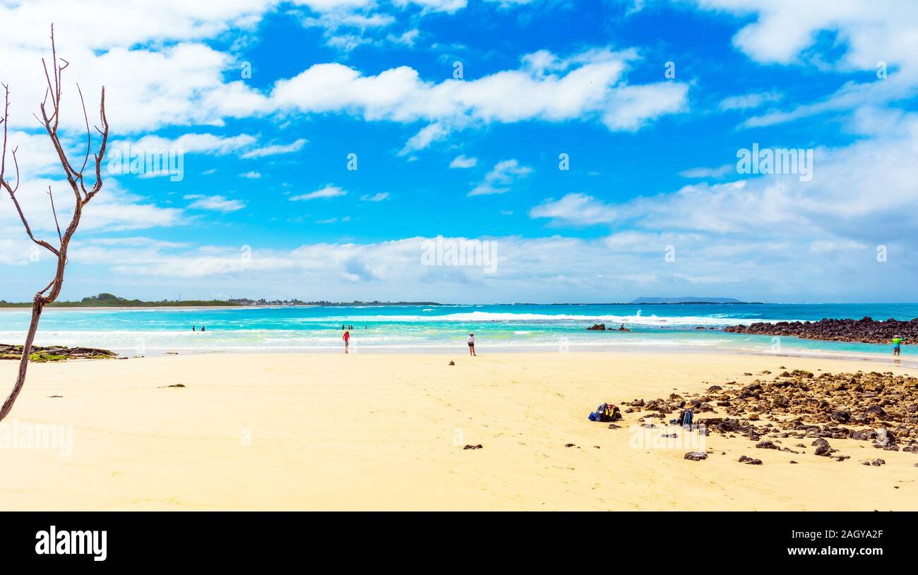 View of the sandy beach, Galapagos Island, Isla Isabela. Copy space for text Stock Photo