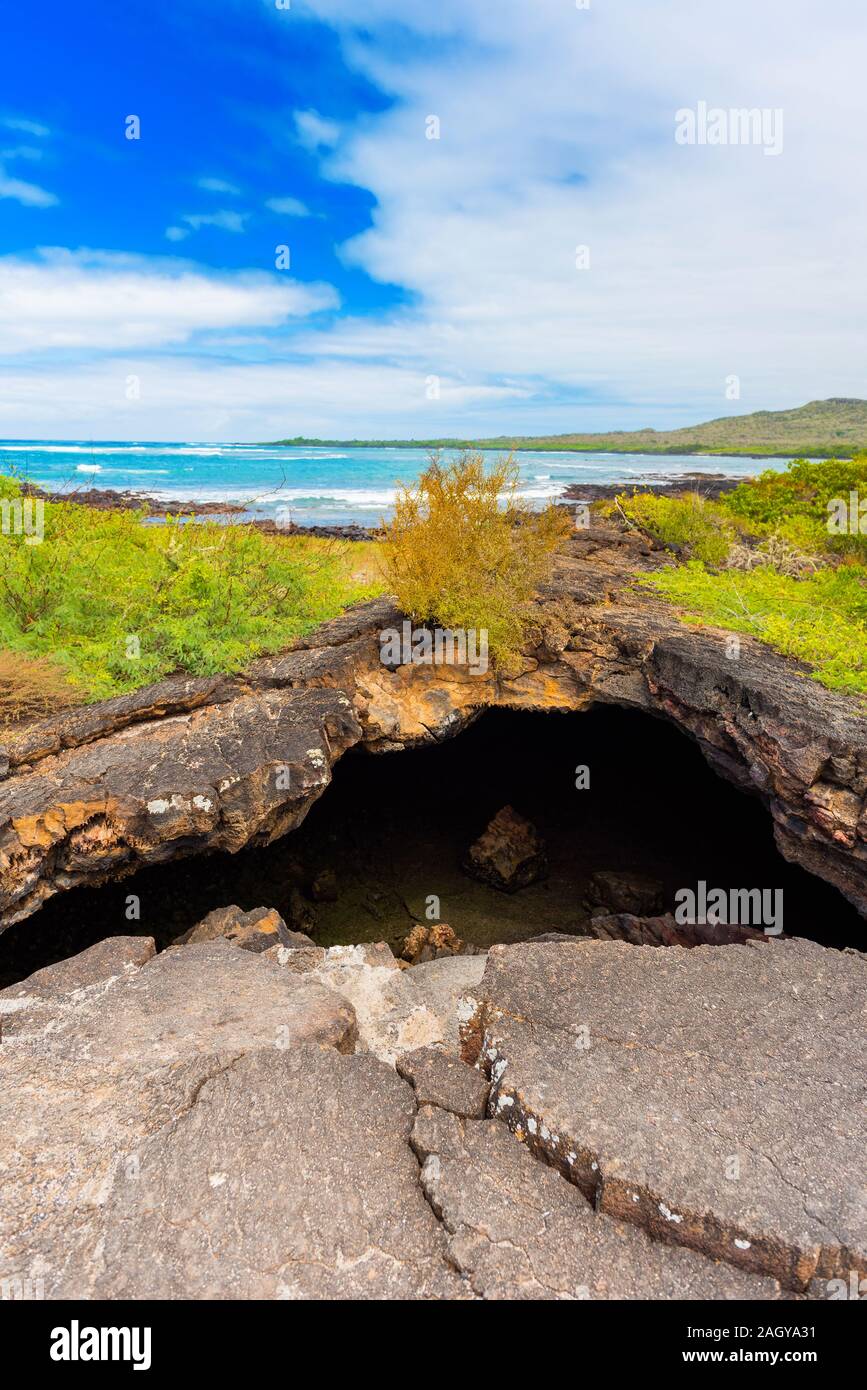 View of the rocky beach, Galapagos Island, Isla Isabela. Vertical Stock Photo
