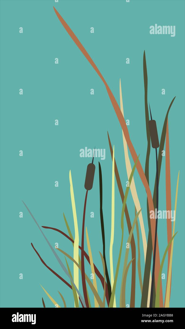 Bush of Swamp Reed on a Lake. vector Illustration Stock Vector Image ...