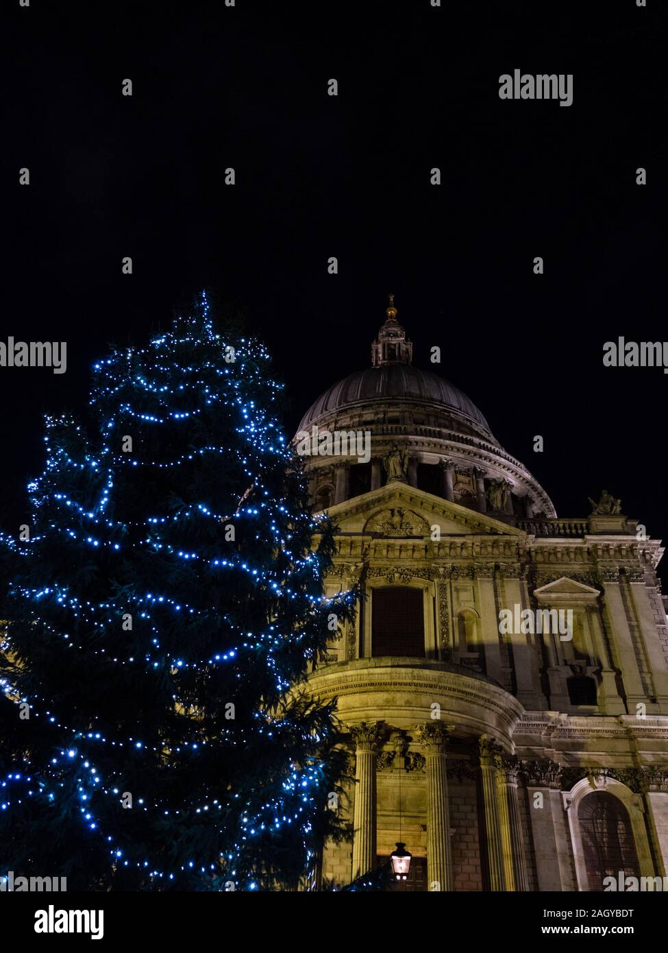 Christmas Tree, St Paul's Cathedral, Night Time, London, England, UK,GB. Stock Photo