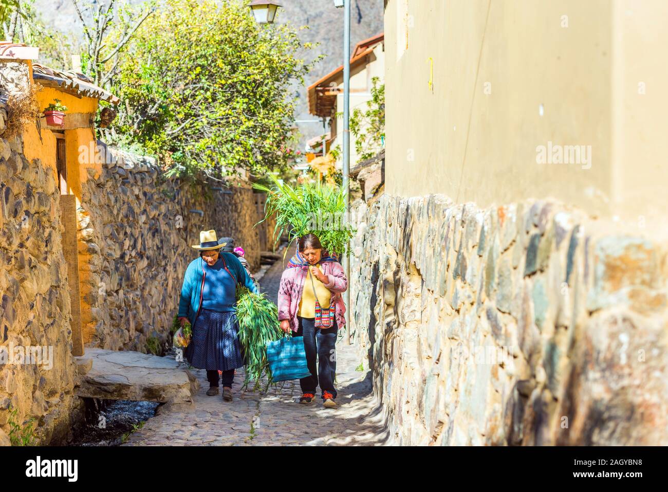 OLLANTAYTAMBO, PERU - JUNE 26, 2019: Peruvian women on a city street carry large armfuls of grass Stock Photo