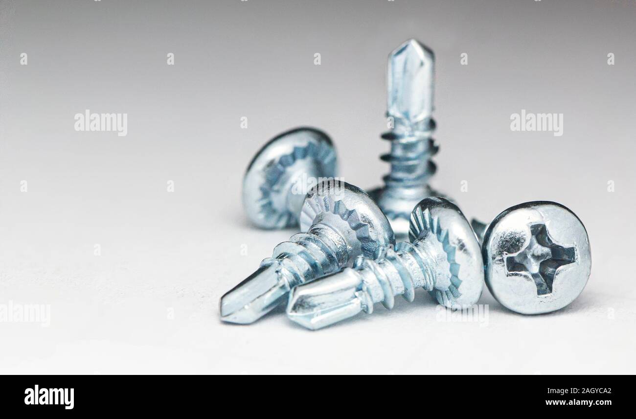 A few white selftapping screws On a white background Stock Photo Alamy