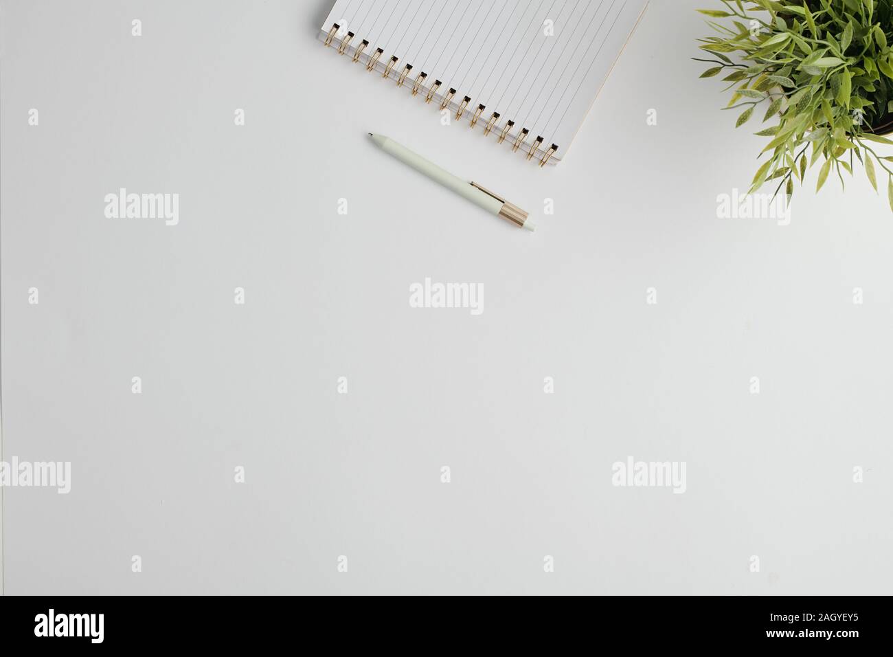 Copyspace for your advert or notes surrounded by pen, notebook and plant Stock Photo