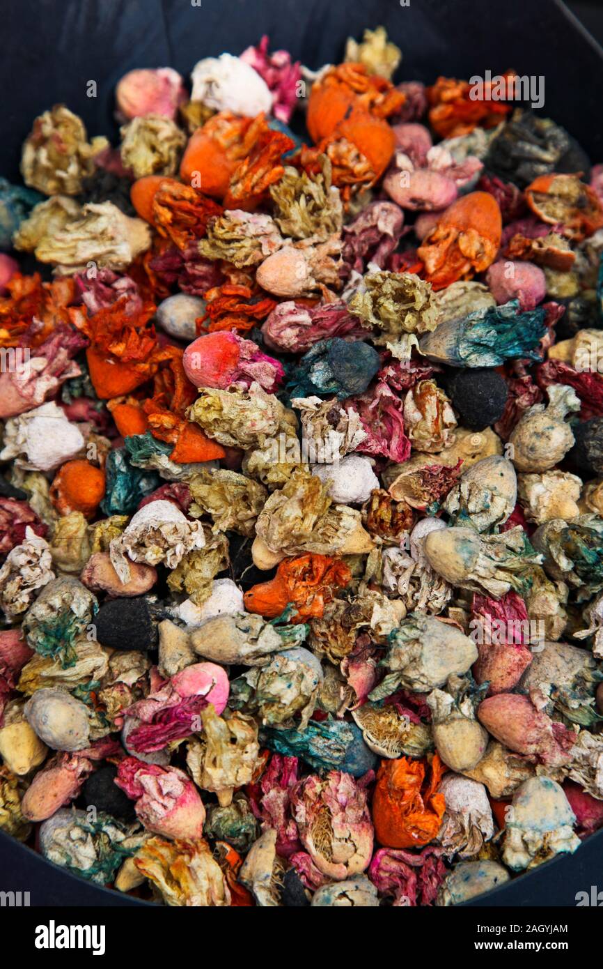 Dried colourful flowers Stock Photo