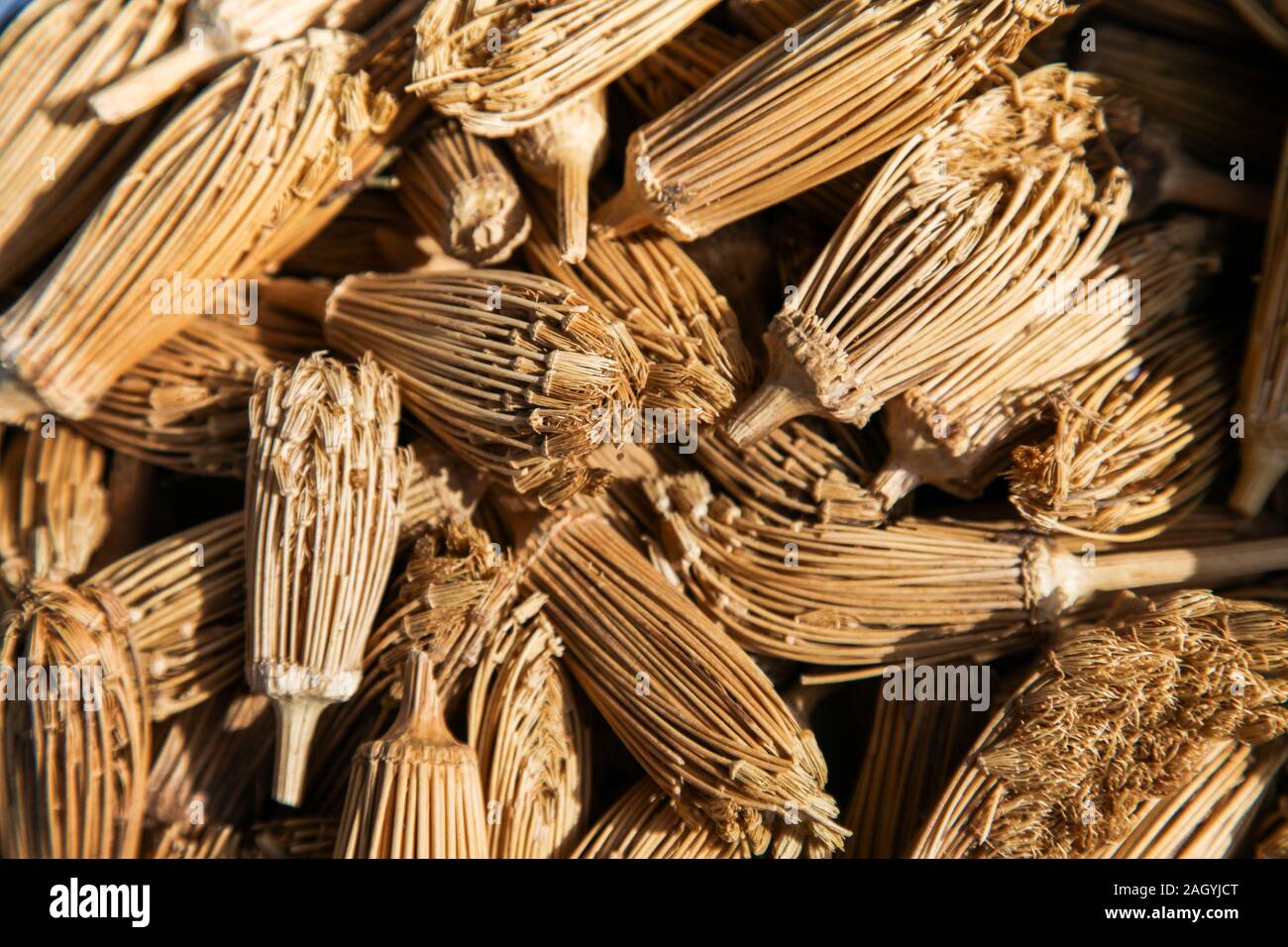Dried flowers used as toothpicks in Morocco Stock Photo