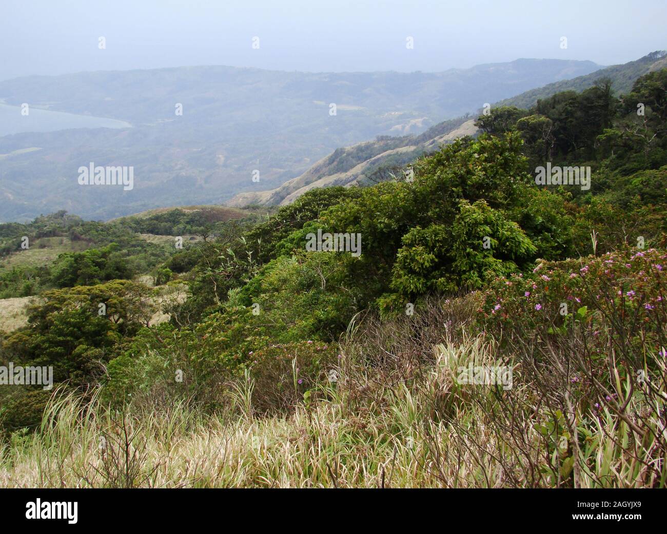 Hills in Mindoro island (The Philippines), showing signs of excessive logging, which increases erosion risk and loss of fertile soil Stock Photo