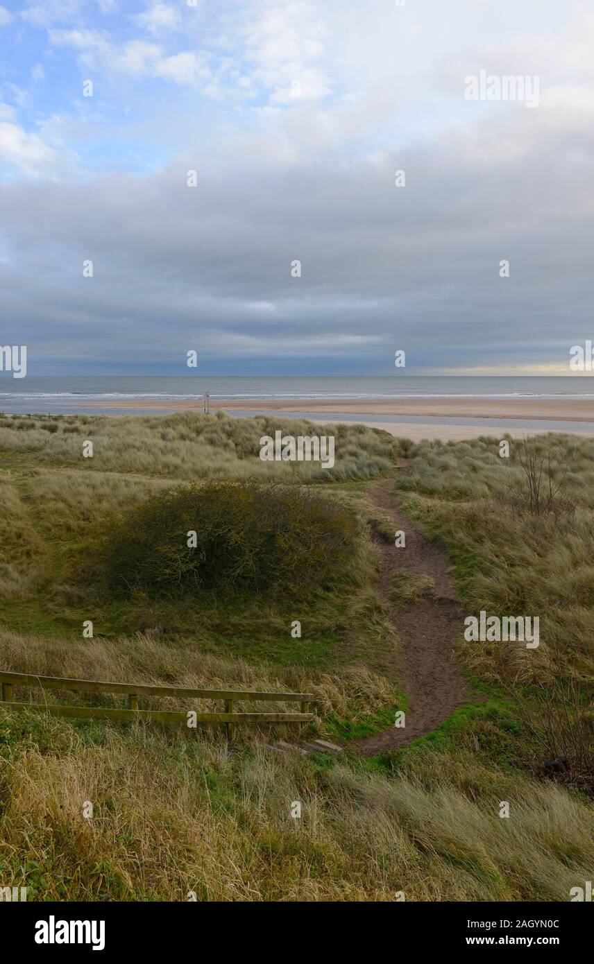 View over grassy scrub of a path to the beach at Alnmouth, Northumberland., UK Stock Photo
