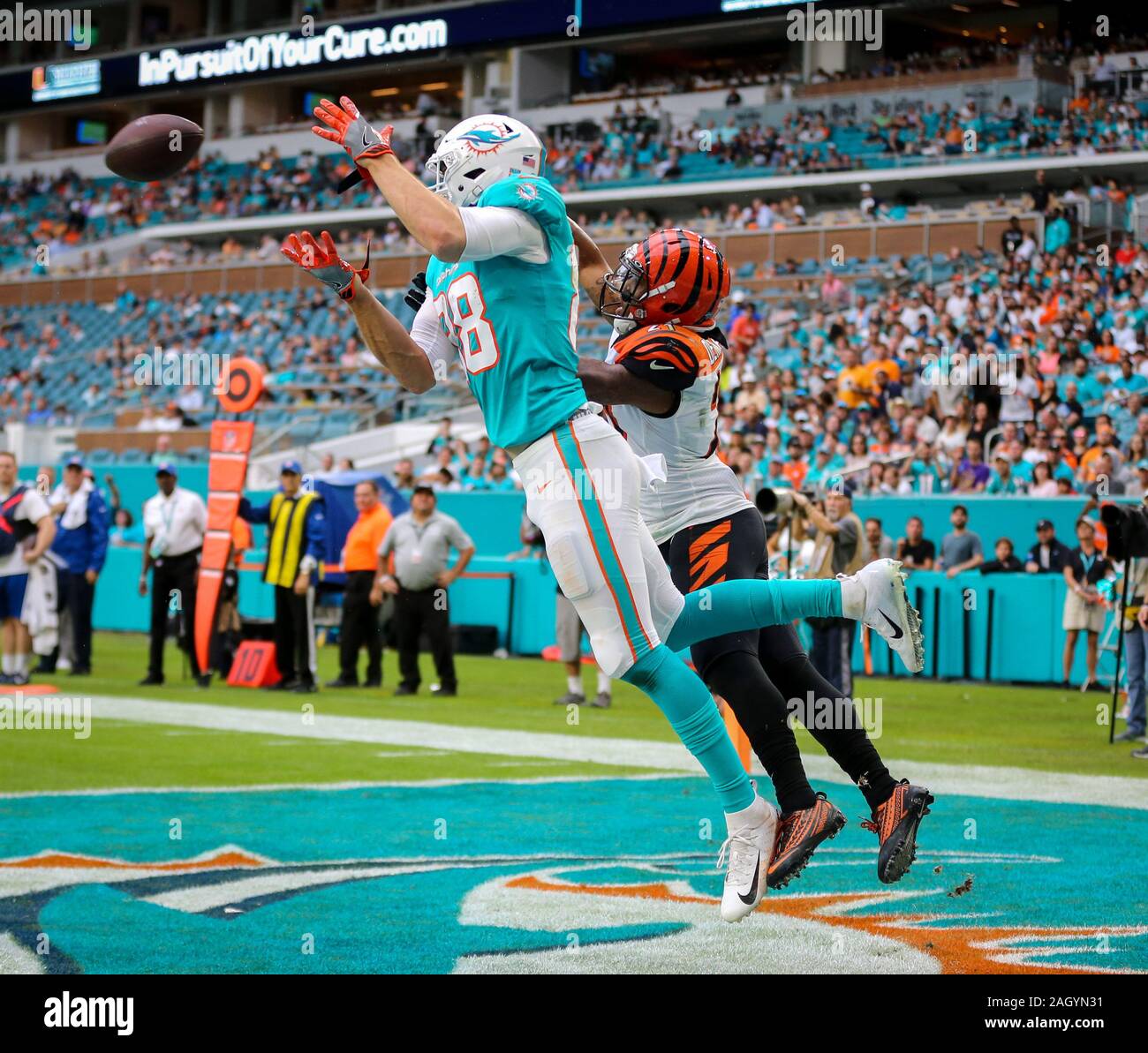 score between dolphins and bengals