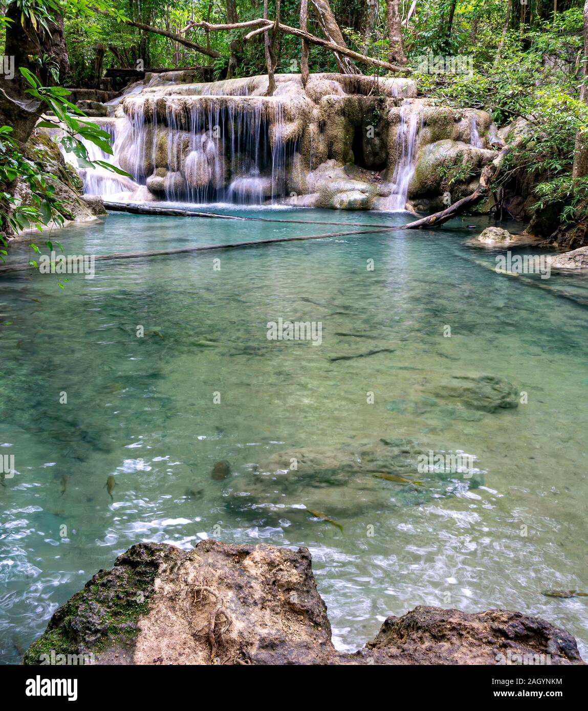 Clean green emerald water from the waterfall Surrounded by small trees - large trees,  green colour, Erawan waterfall, Kanchanaburi province, Thailand Stock Photo