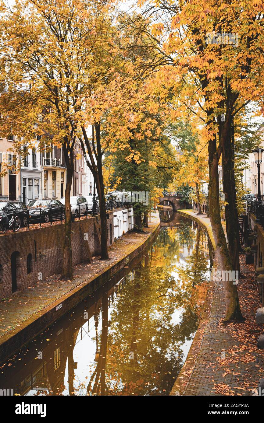 Typical Utrecht canal or river with beautiful yellow leaves on the trees and a beautiful reflection Stock Photo