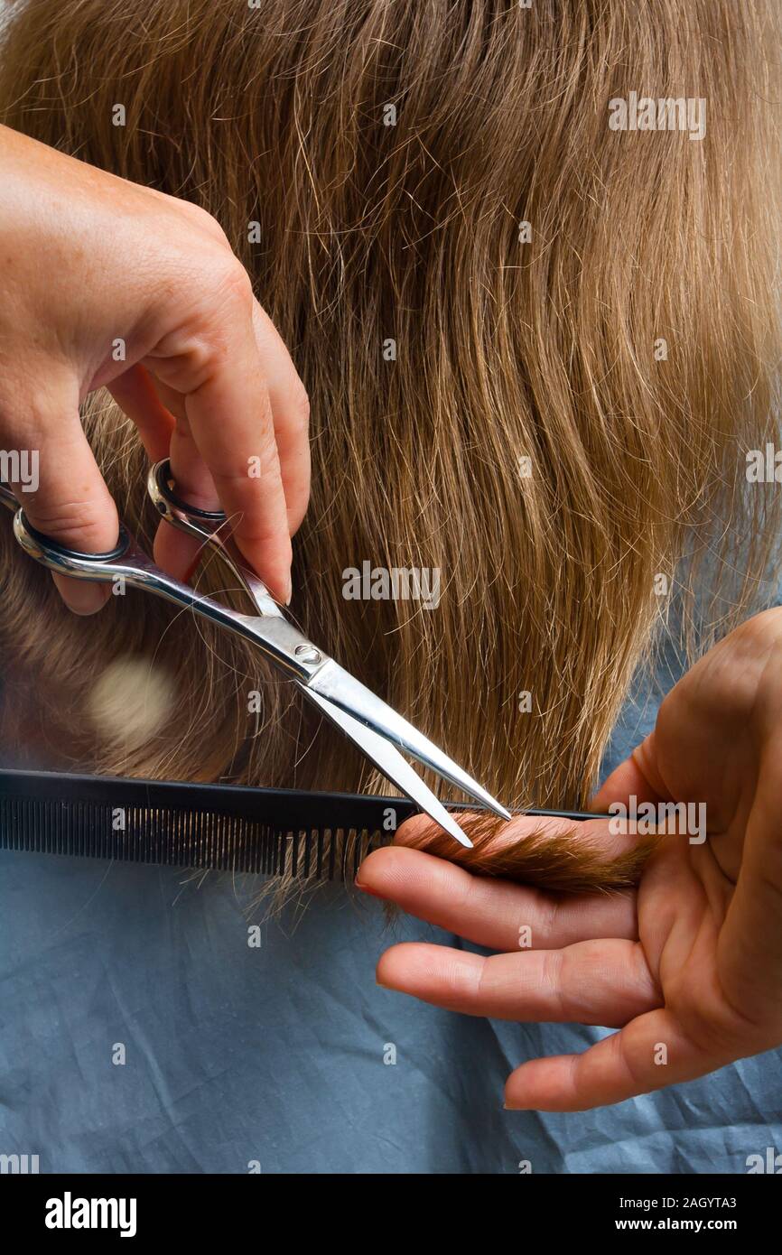 hand of hairdresser trimming hair with scissors, closeup Stock Photo