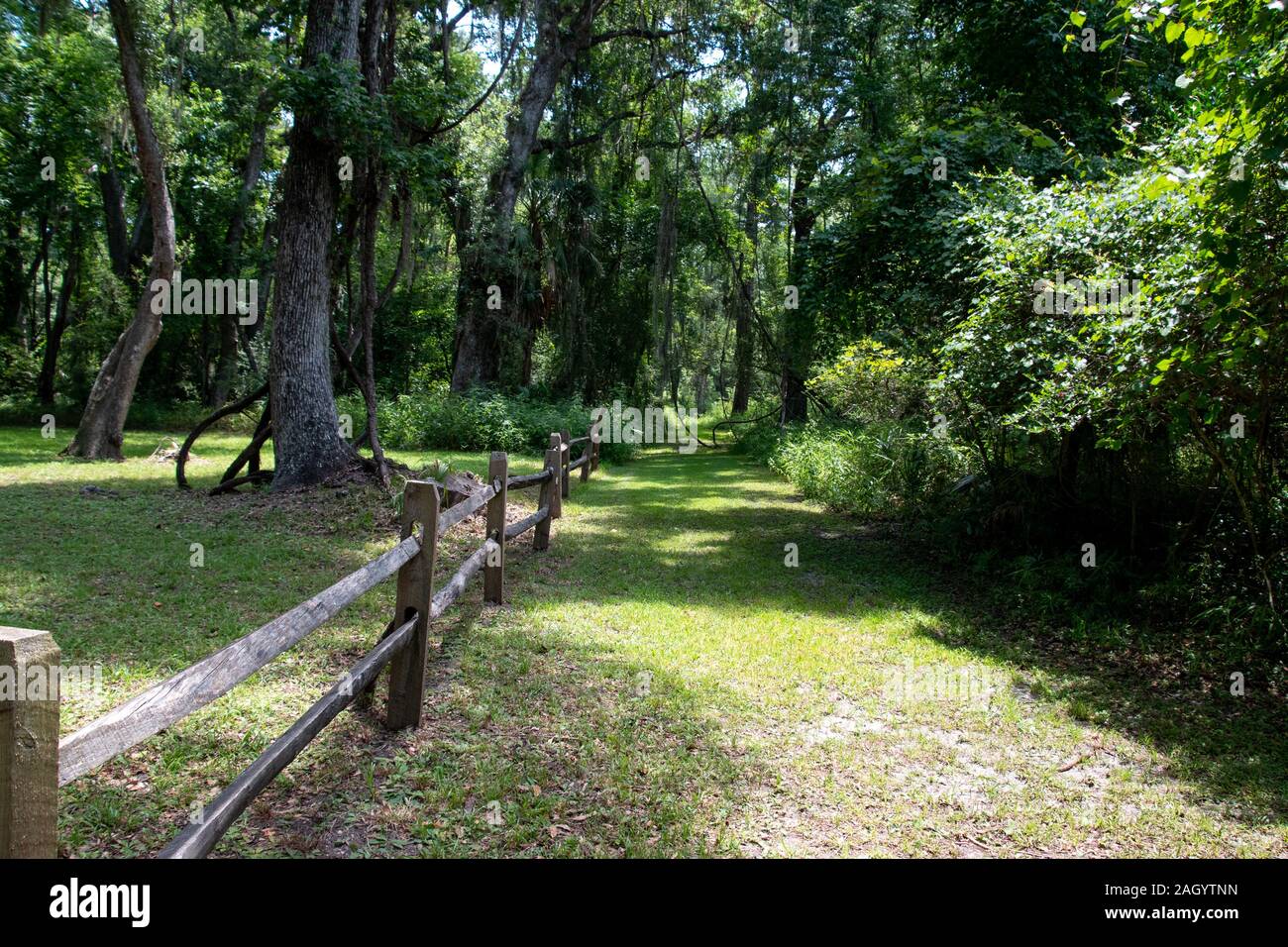 A military road built for Fort Frederica Stock Photo
