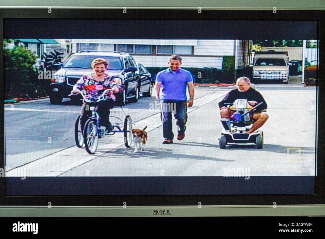 Miami Beach Florida,television,set,TV,flat panel,screen,monitor,cable channel,The dog dogs Whisperer,visitors travel traveling tour tourist tourism la Stock Photo