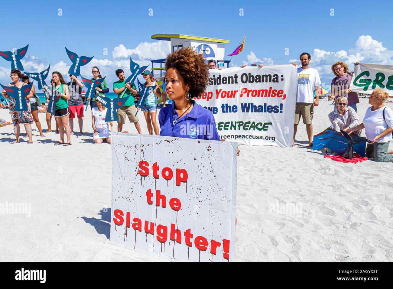 Miami Beach Florida,Greenpeace,demonstration,protest,Save the Whales,sign,group,supporters,Black woman female women,FL100526048 Stock Photo