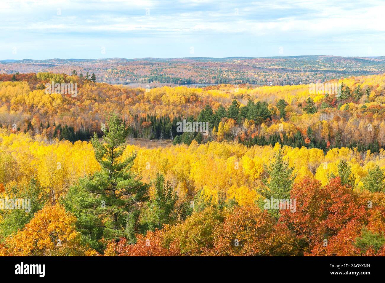 hilltop view of vibrant changing fall colors Stock Photo