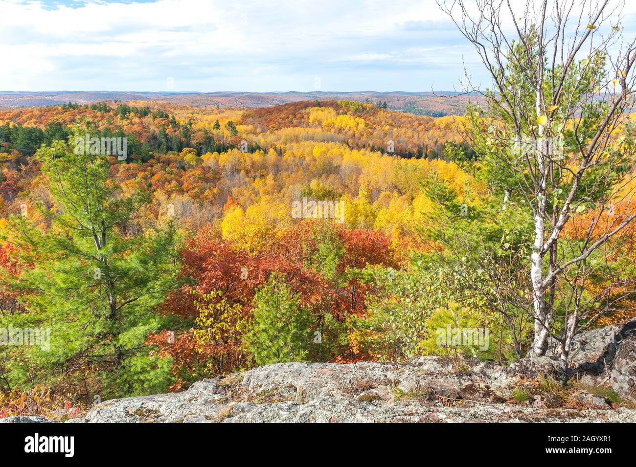 hilltop view of vibrant changing fall colors Stock Photo