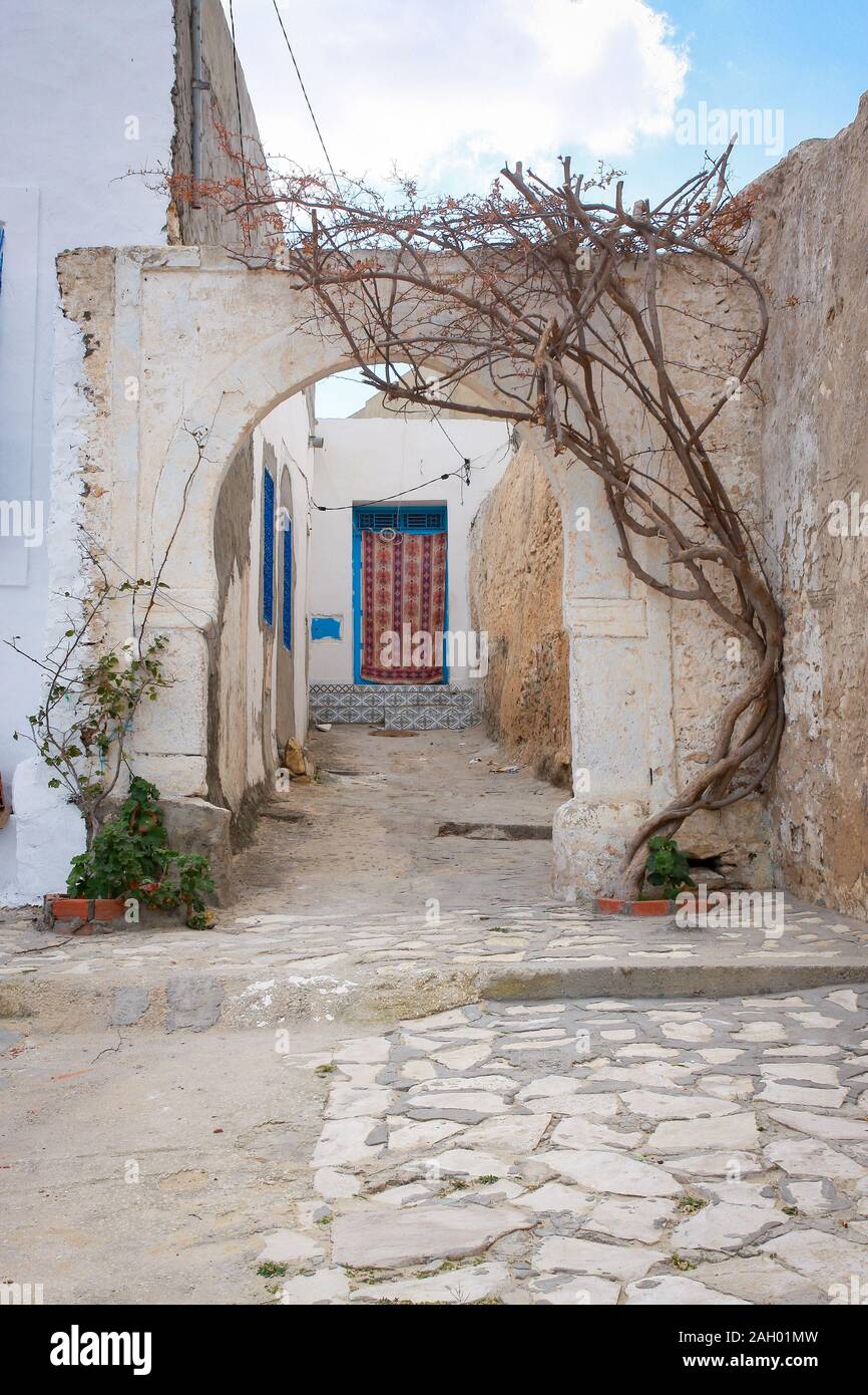 Empty street of Tunisian town in the middle of the day. Buildings with white walls and blue doors and long shadows from midday sun, Monastir, Tunisia Stock Photo