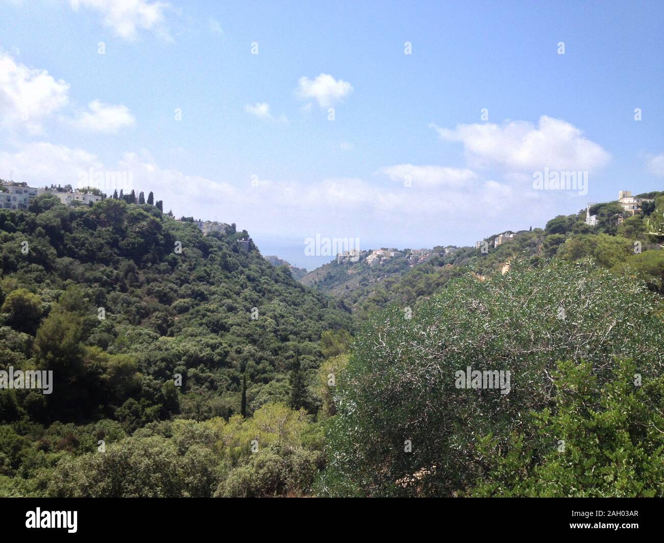 The beauty of nature Stock Photo - Alamy
