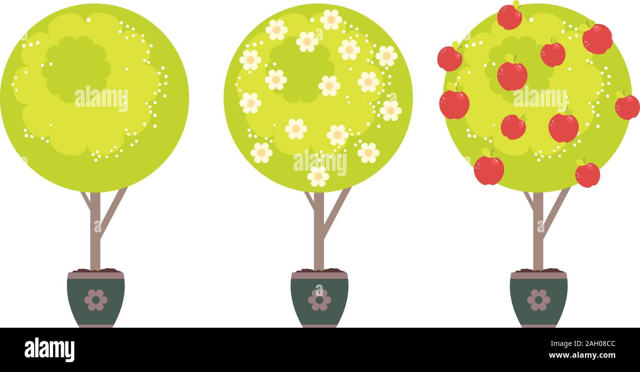 Cartoon stylized green tree with white flowers in spring and red apples in summer time. Stock Vector