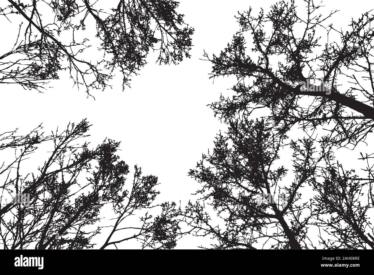 Grunge Crooked Tree Branches Without Leaves Black Silhouettes On White Stock Vector Image Art Alamy