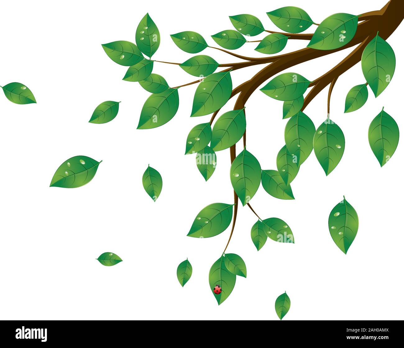 Tree branch with fresh green leaves on white background Stock Vector ...