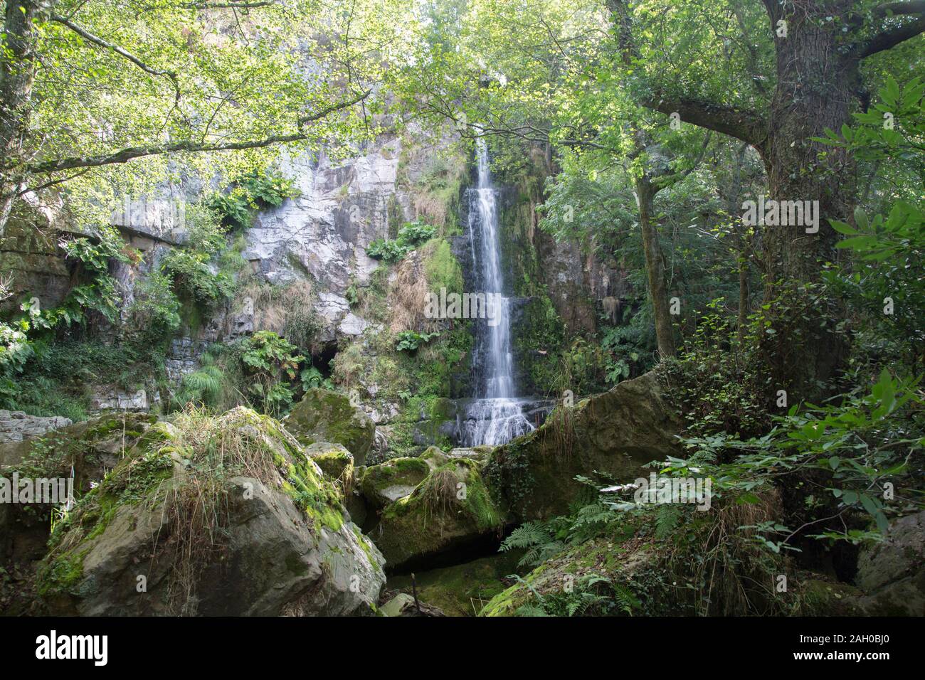 Nature at Waterfall, Villayon, Asturias; Spain Stock Photo