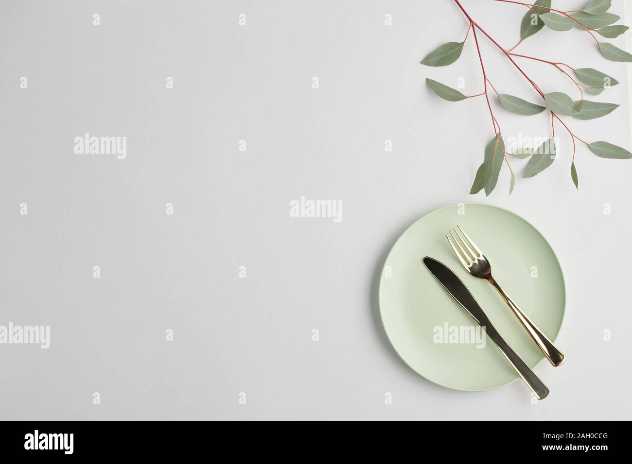 Flatlay of white porcelain plate with steel knife and fork and branch of plant Stock Photo