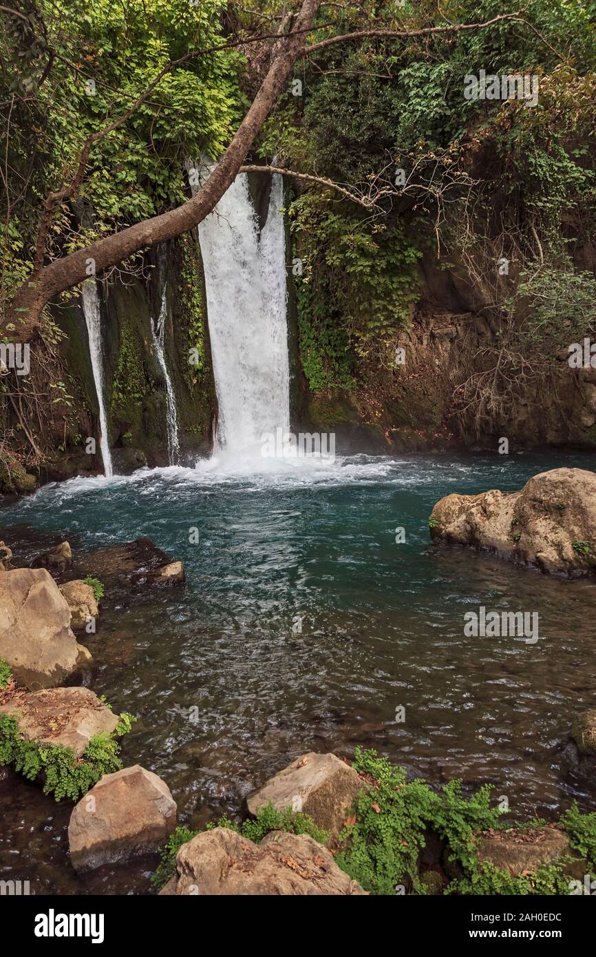 the banias waterfall on the hermon stream in the Golan Heights of Israel flows through lush subtropical vegetation and boulders Stock Photo