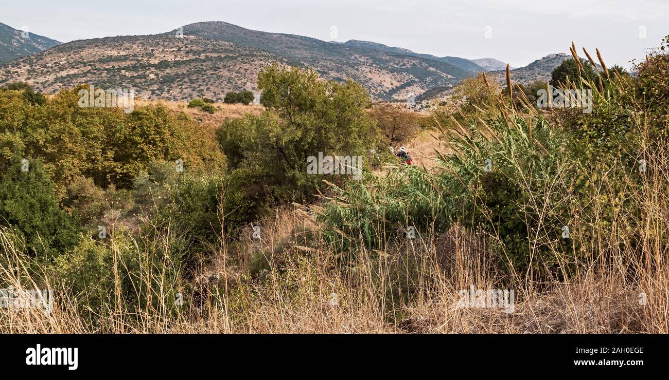 tourists hiking through the lush vegetation of the hermon stream with the nimrod fortress and the hermon in the right background Stock Photo