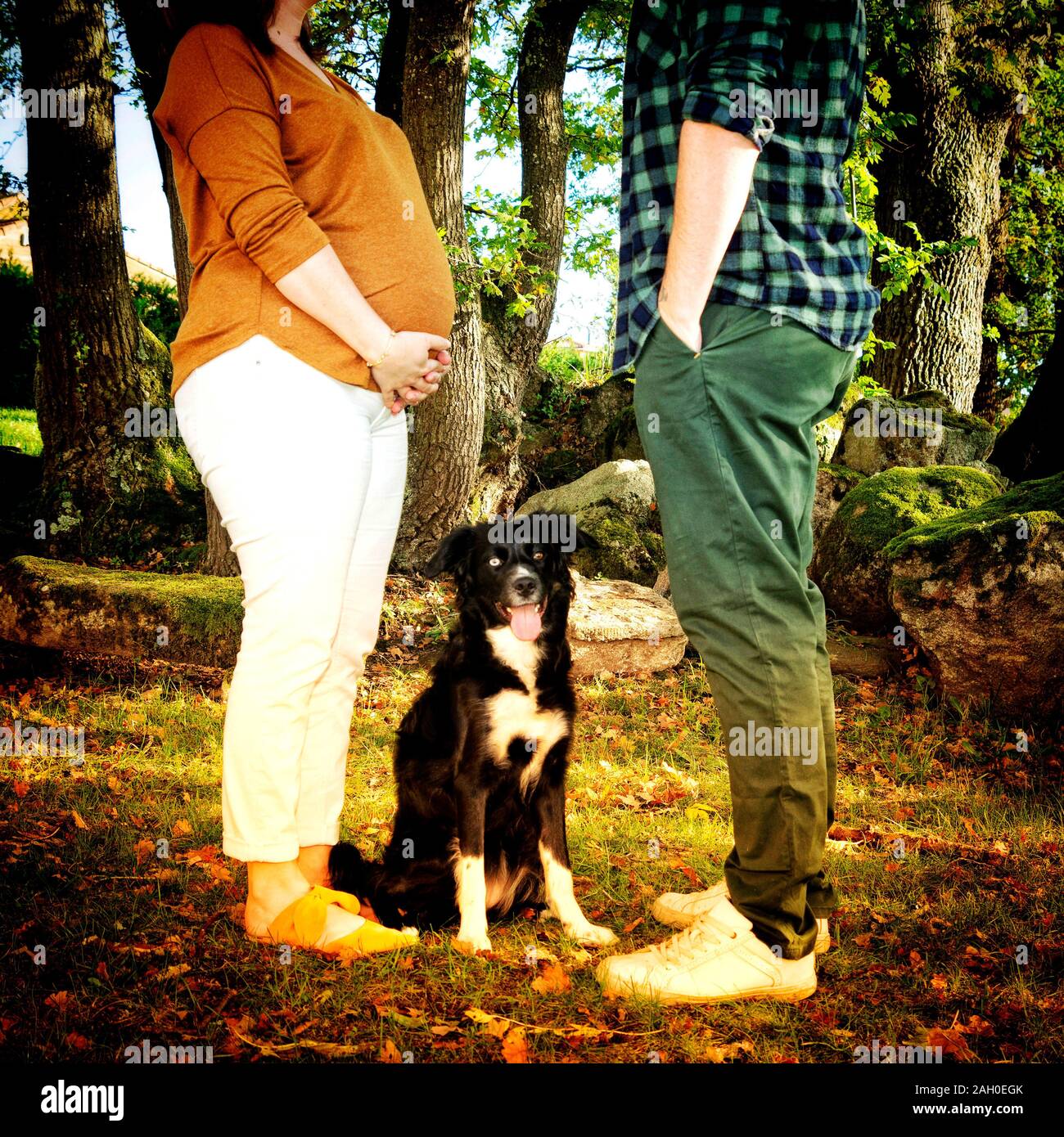 Why Does My Dog Sit Between My Legs