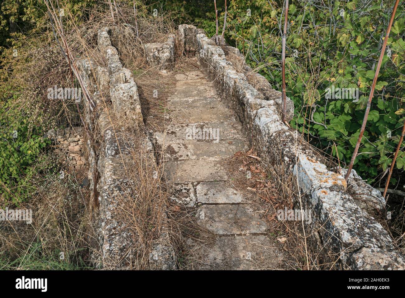 top of an ancient unrestored flour mill nearly hidden by riparian vegetation on the Hermon Stream trail in the Golan Heights in Israel Stock Photo