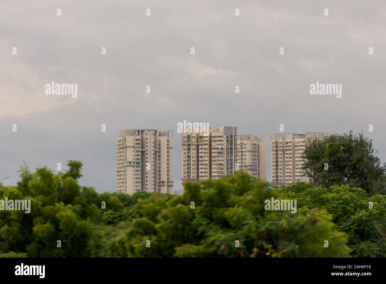 Skyscrapers behind line of trees with cloudy sky in Chennai, former Madras, in South India Stock Photo