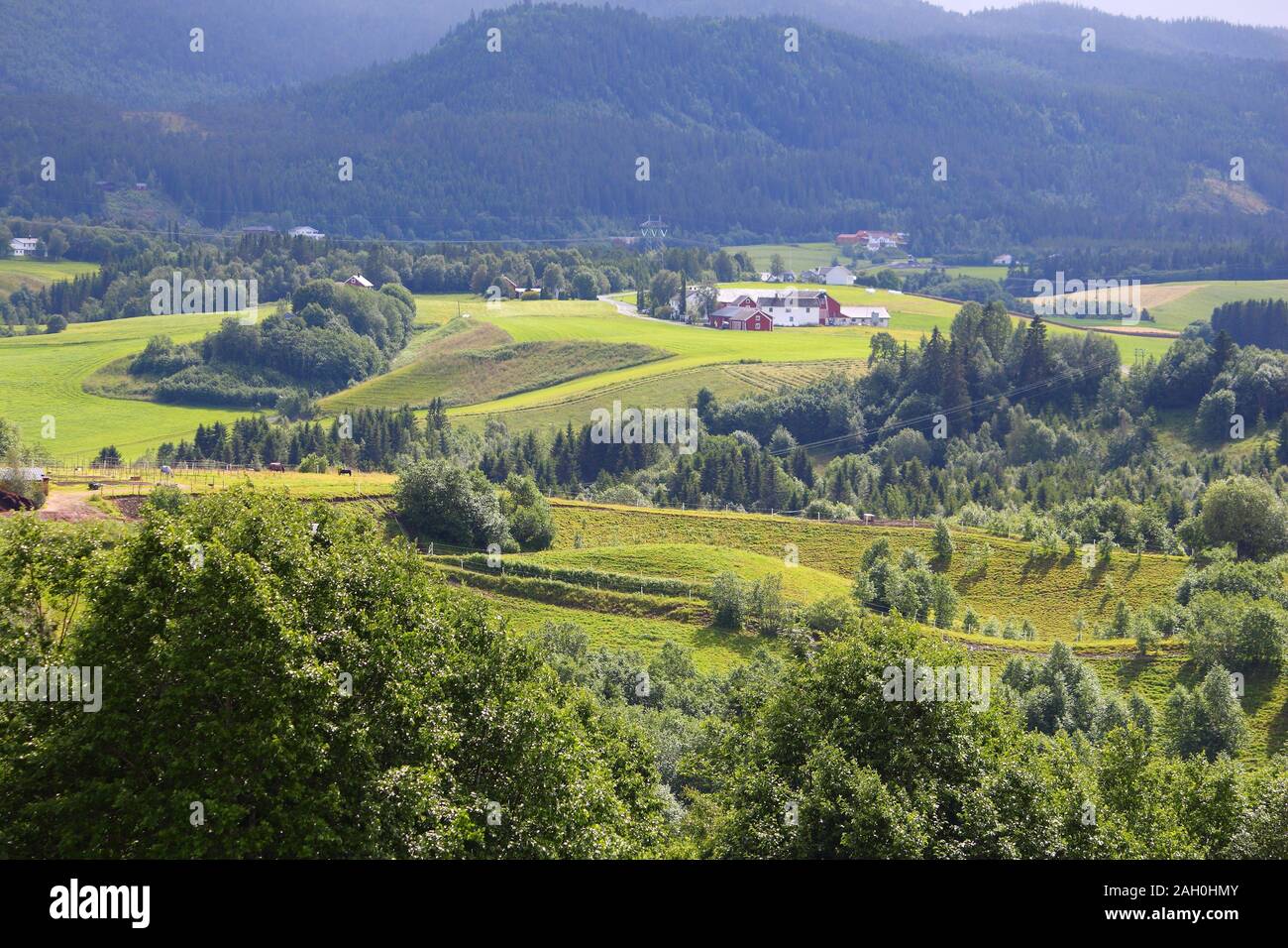 Farmlands and pastures in Norway. Agricultural area in the region of Oppland fylke. Stock Photo