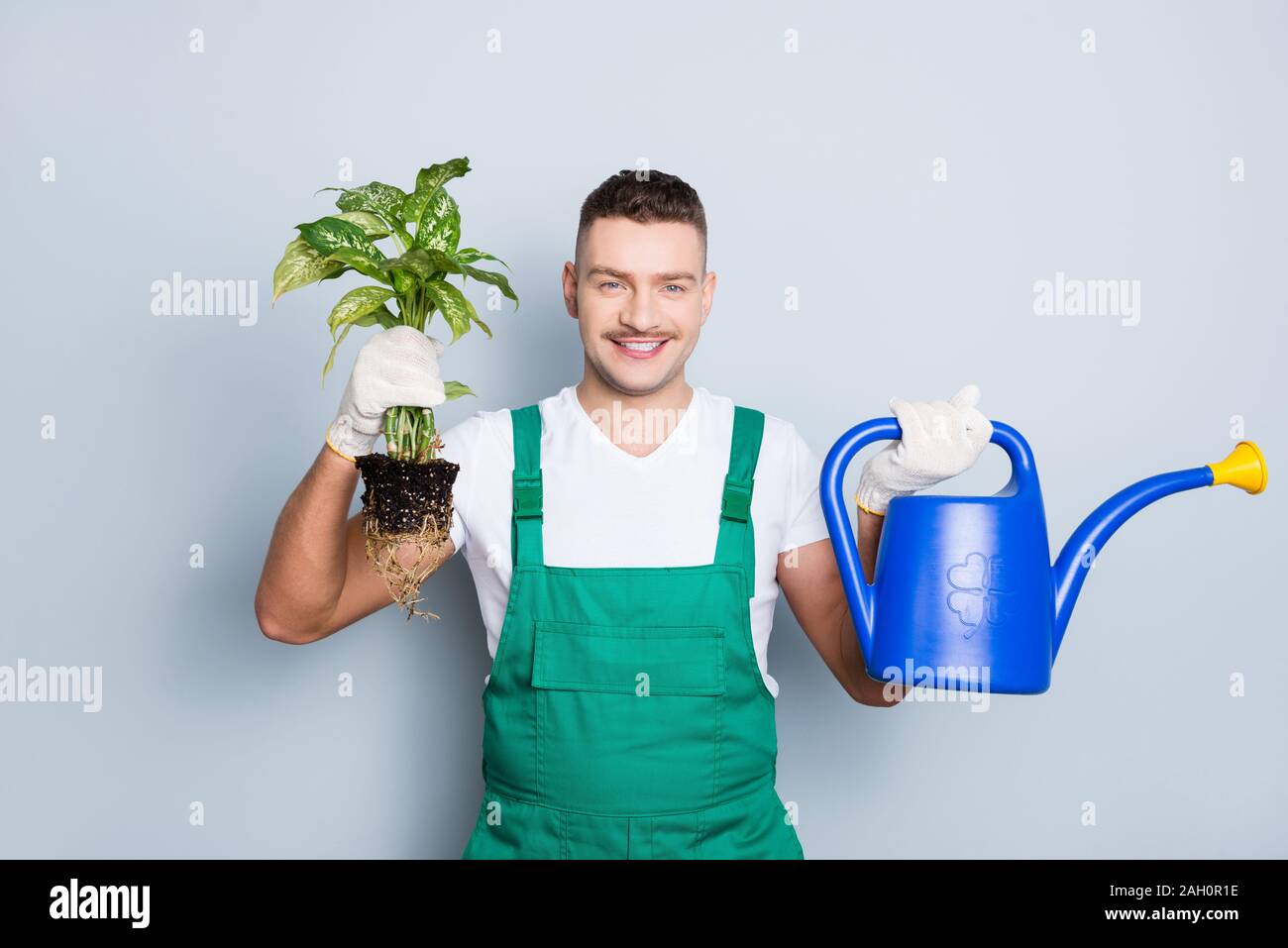 Photo of handsome strong arms man holding watering can fresh plant going to give new life change pot wear green safety dungarees isolated grey Stock Photo
