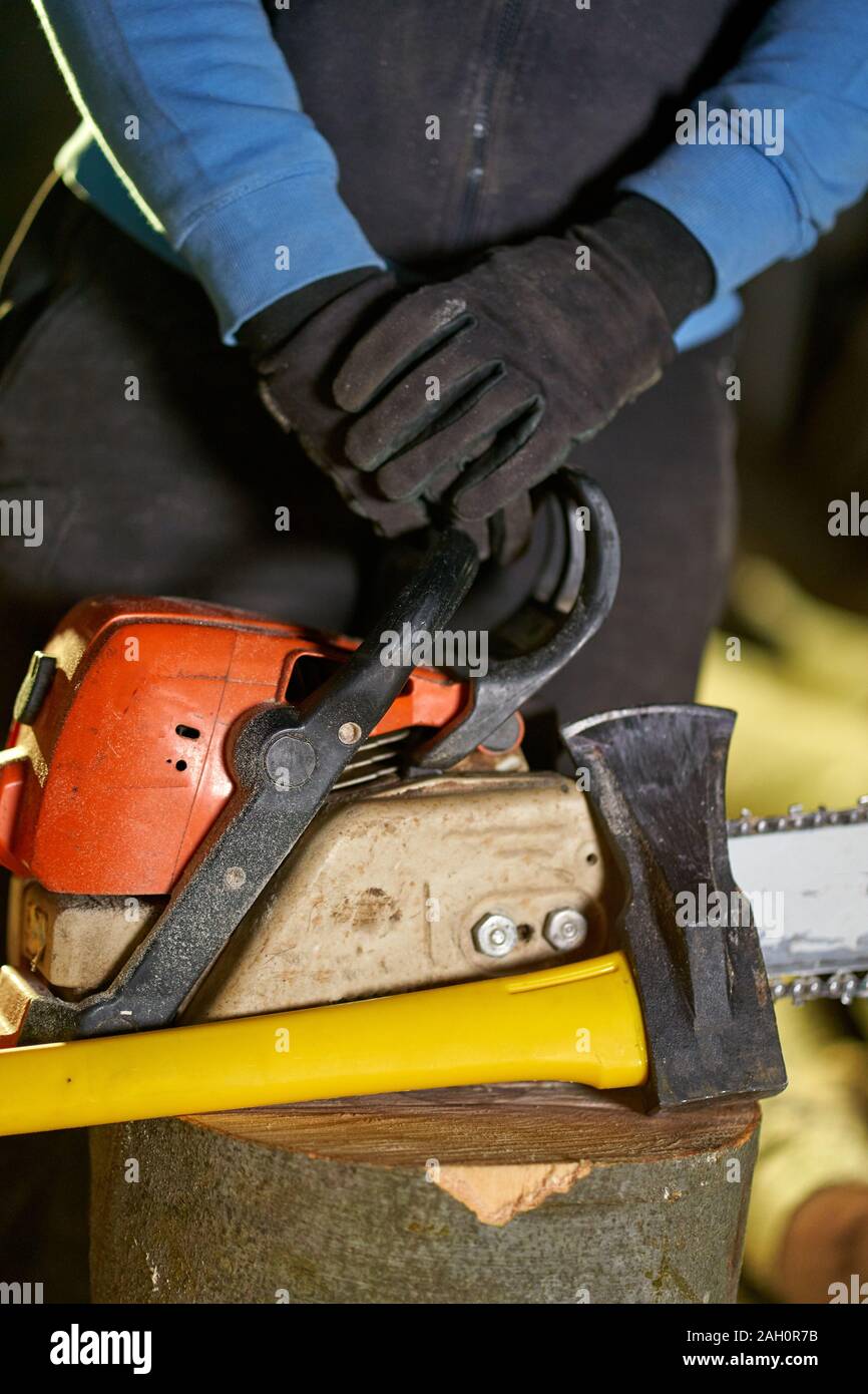 Lumberjack hands and tools on a log Stock Photo Alamy