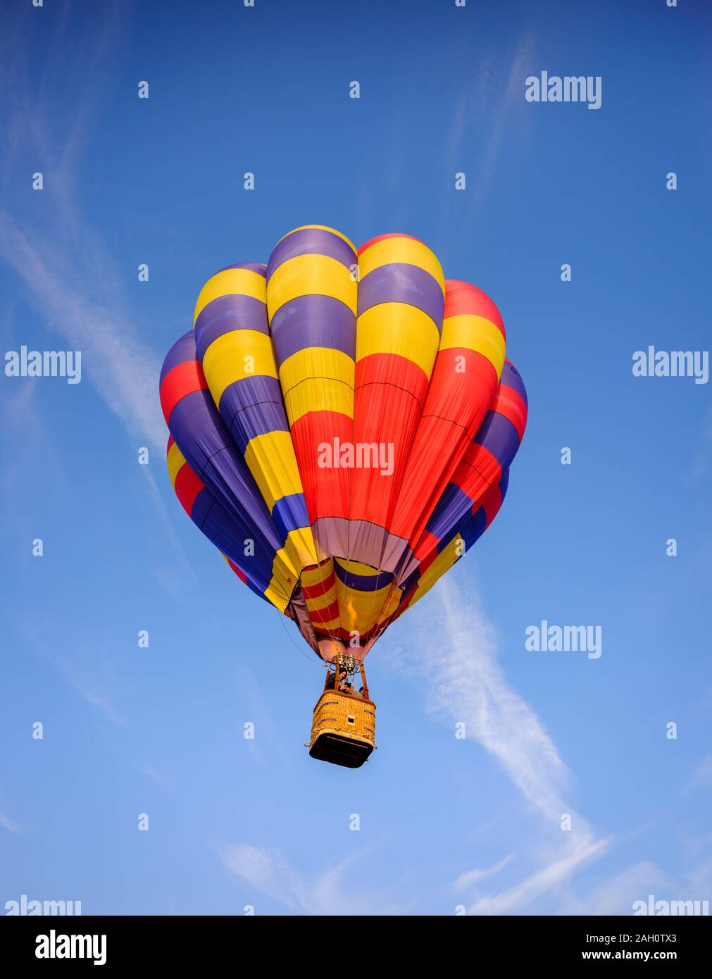 sussex hot air balloon
