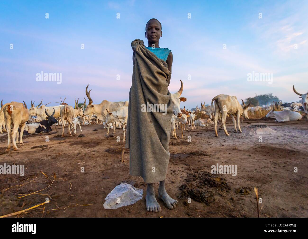 Mundari tribe boy taking care of the long horns cows in the camp, Central Equatoria, Terekeka, South Sudan Stock Photo