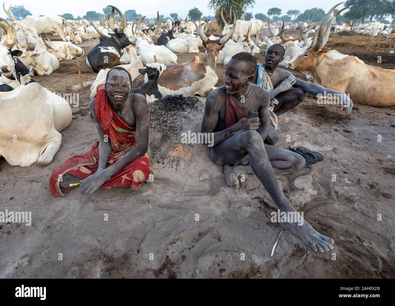 Mundari Mundari tribe men sit around a bonfire in the middle of theit long ...