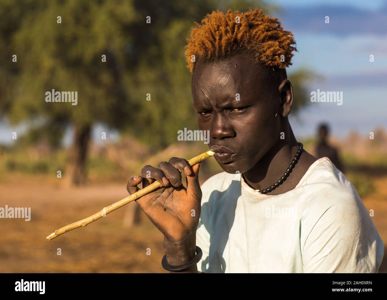 Mundari tribe man with orange hair using a wooden toothbrush to clean his teeth, Central Equatoria, Terekeka, South Sudan Stock Photo