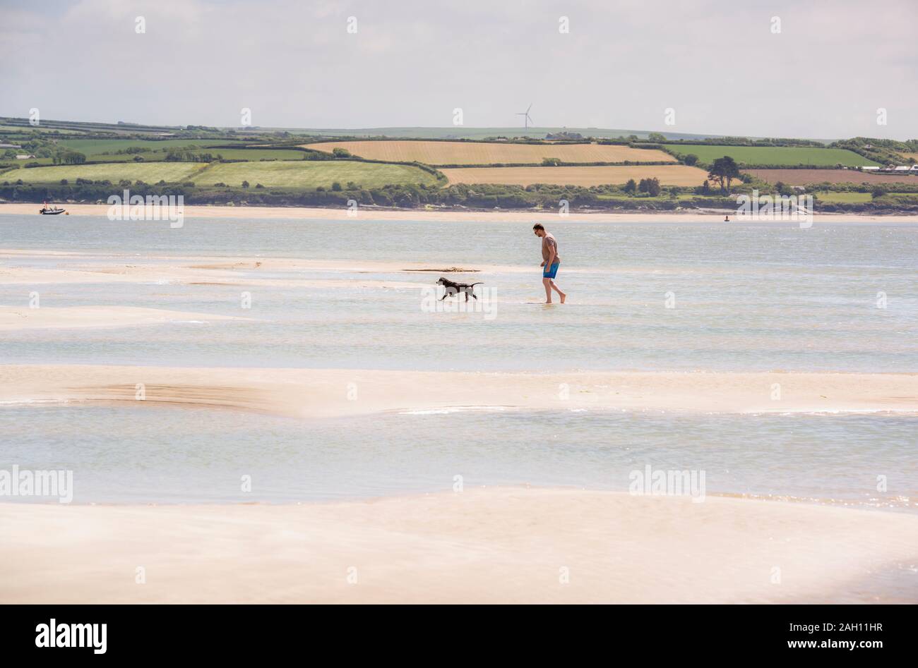 A man walking his dog across sands just outside Padstow in Cornwall. Stock Photo